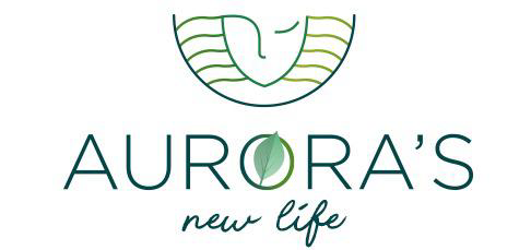 Aurora 1